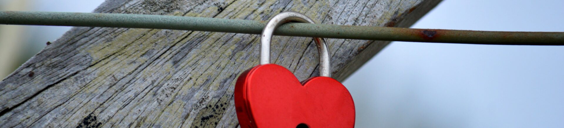 neelam279-heart-10092768